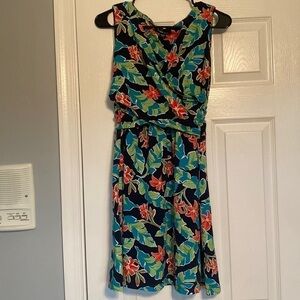 Lands End dress